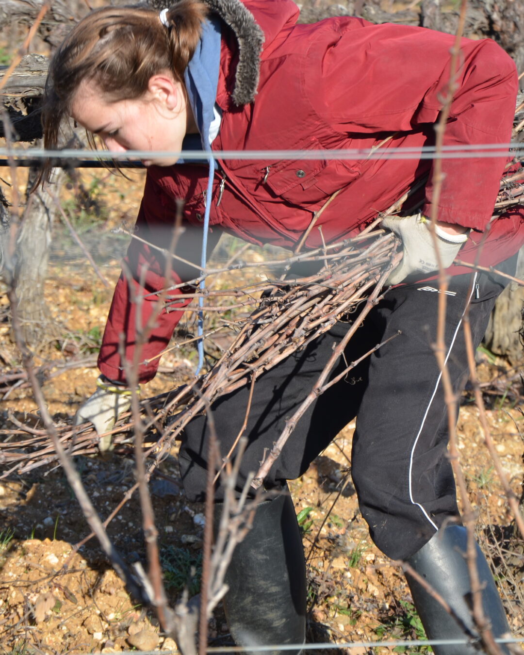 Tirer les bois un dimanche en famille