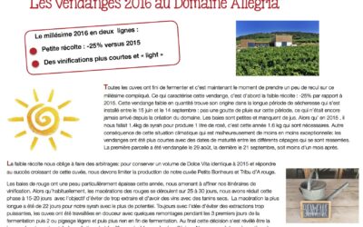 Résumé des vendanges 2016 au Domaine Allegria