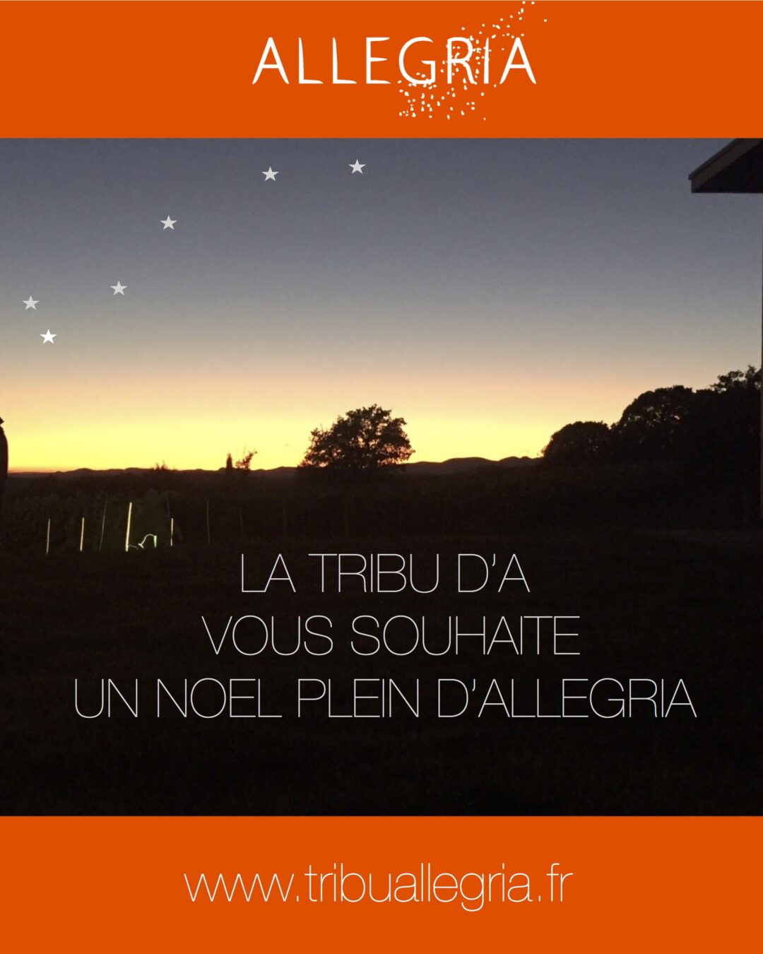 La Tribu d’A vous souhaite un Joyeux Noel