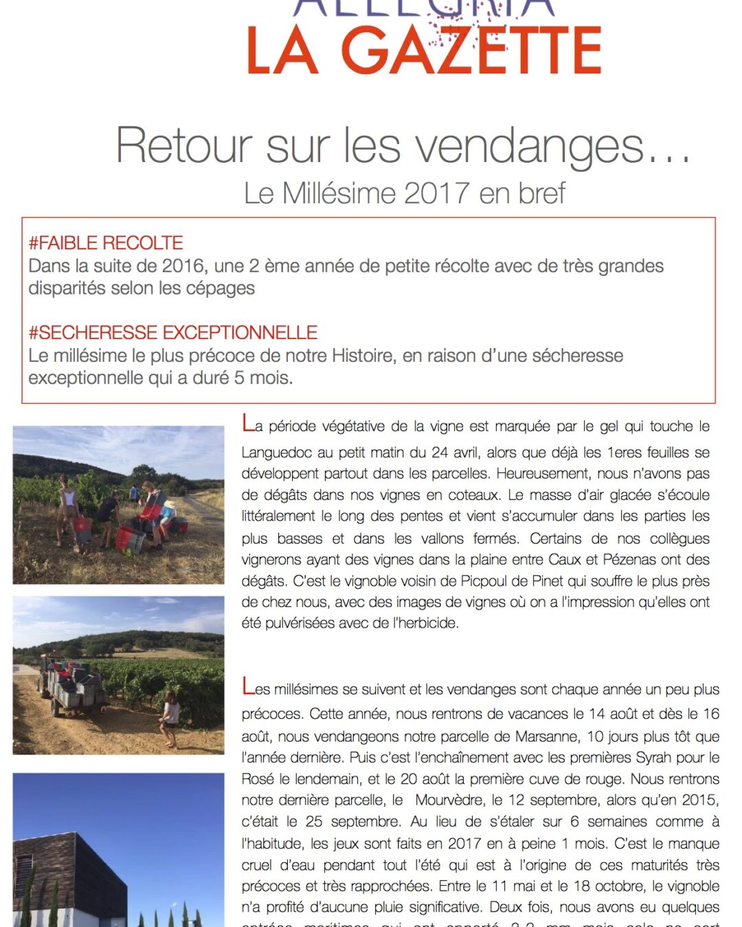 La Gazette Allegria: tout sur le millésime 2017