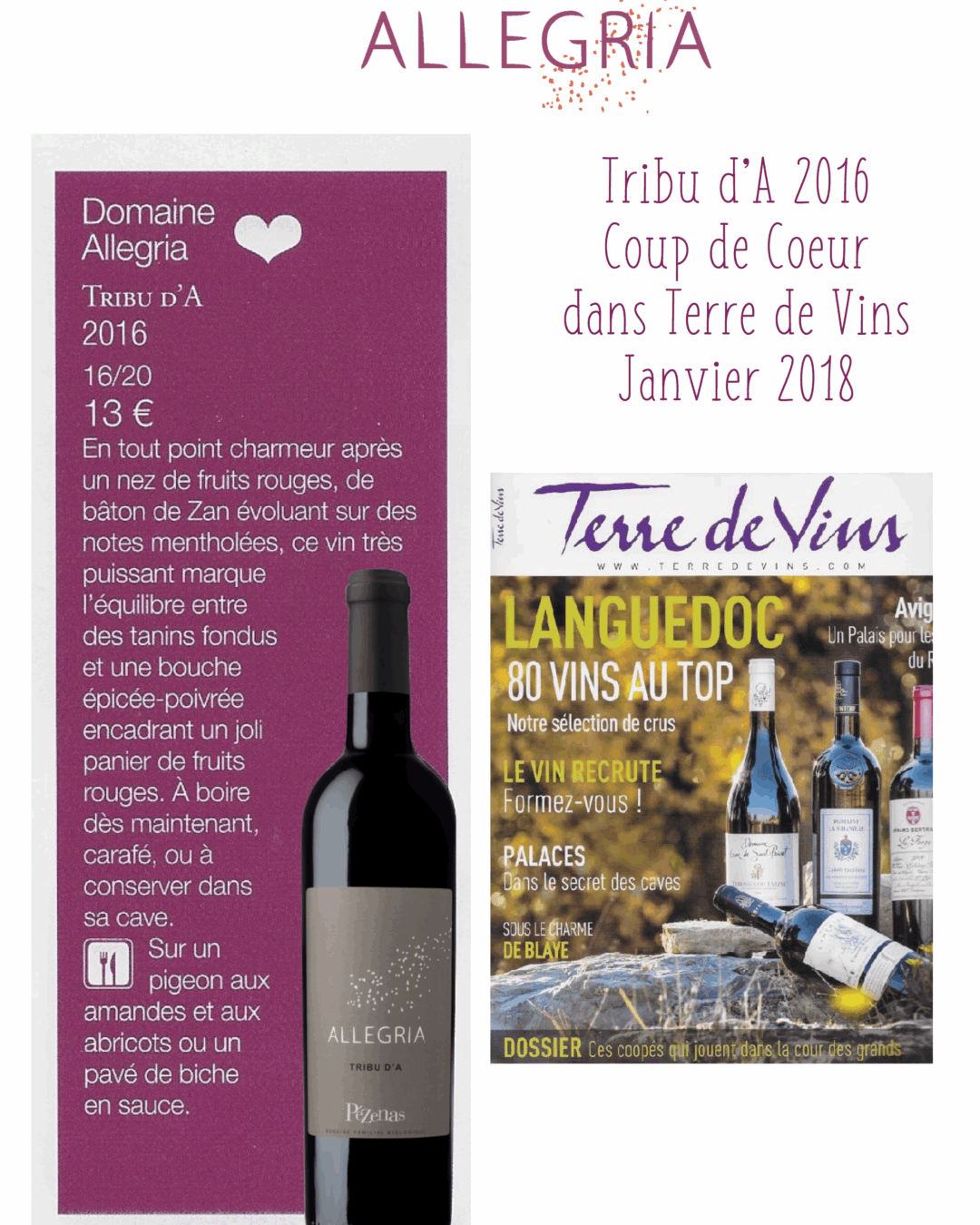 Une bonne note pour le Tribu d’A dans Terre de Vins