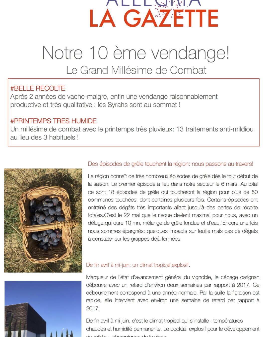 Résumé des vendanges 2018 au Domaine Allegria