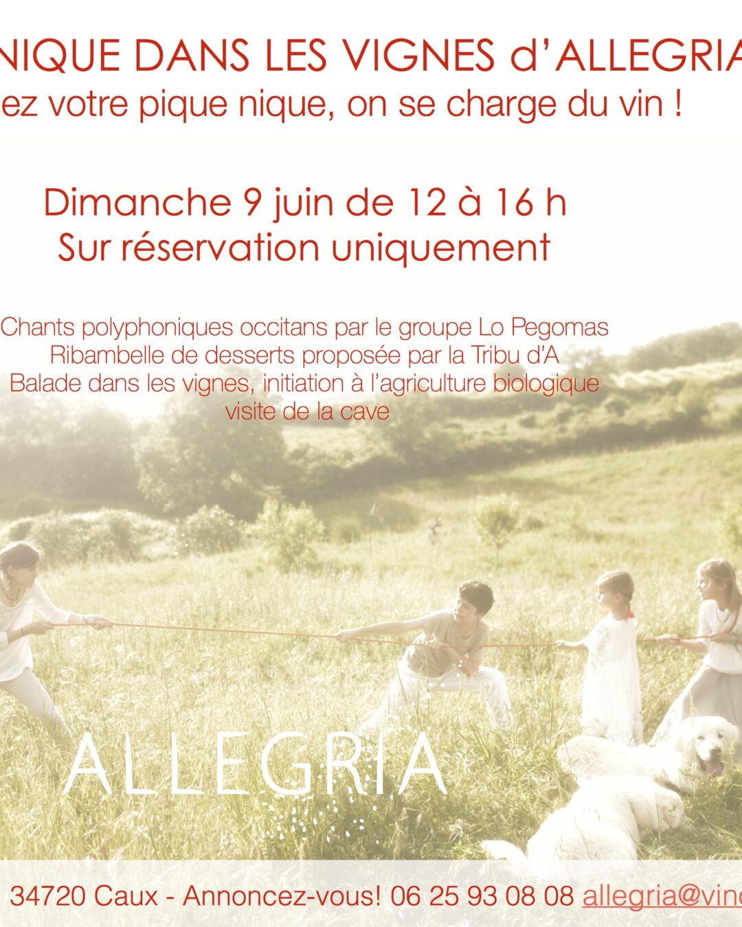 Pique-nique dans les vignes d’Allegria , c’est DEMAIN!!