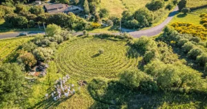 Spirale de Cinsault – Vignoble biologique - Pézenas, Languedoc