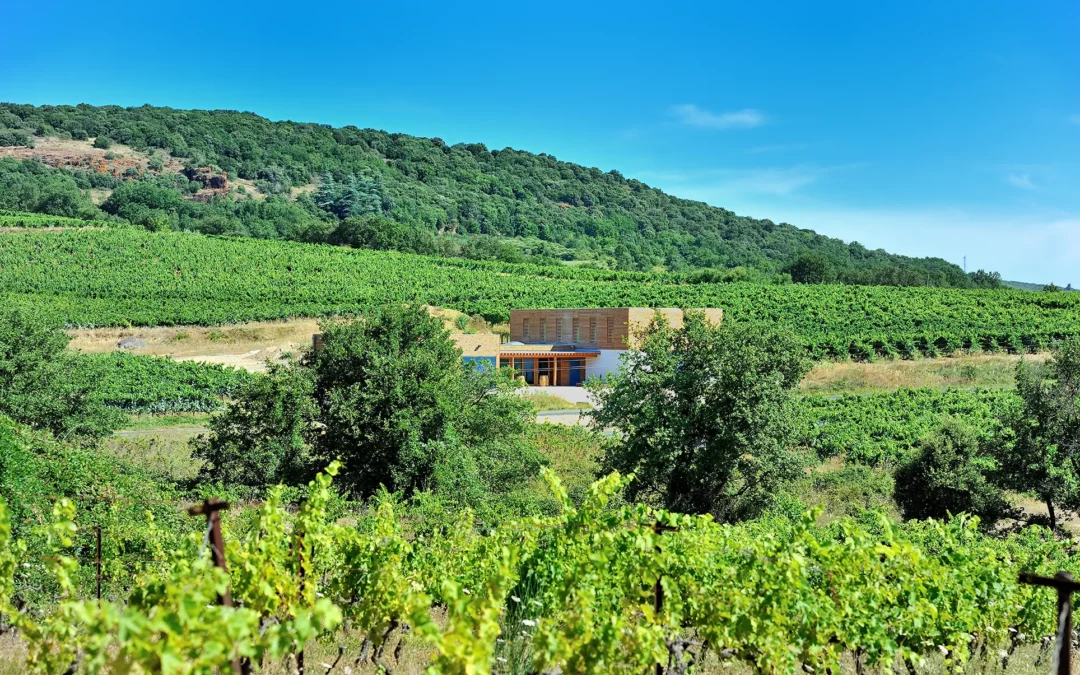 Stop Waiting For The Perfect Time