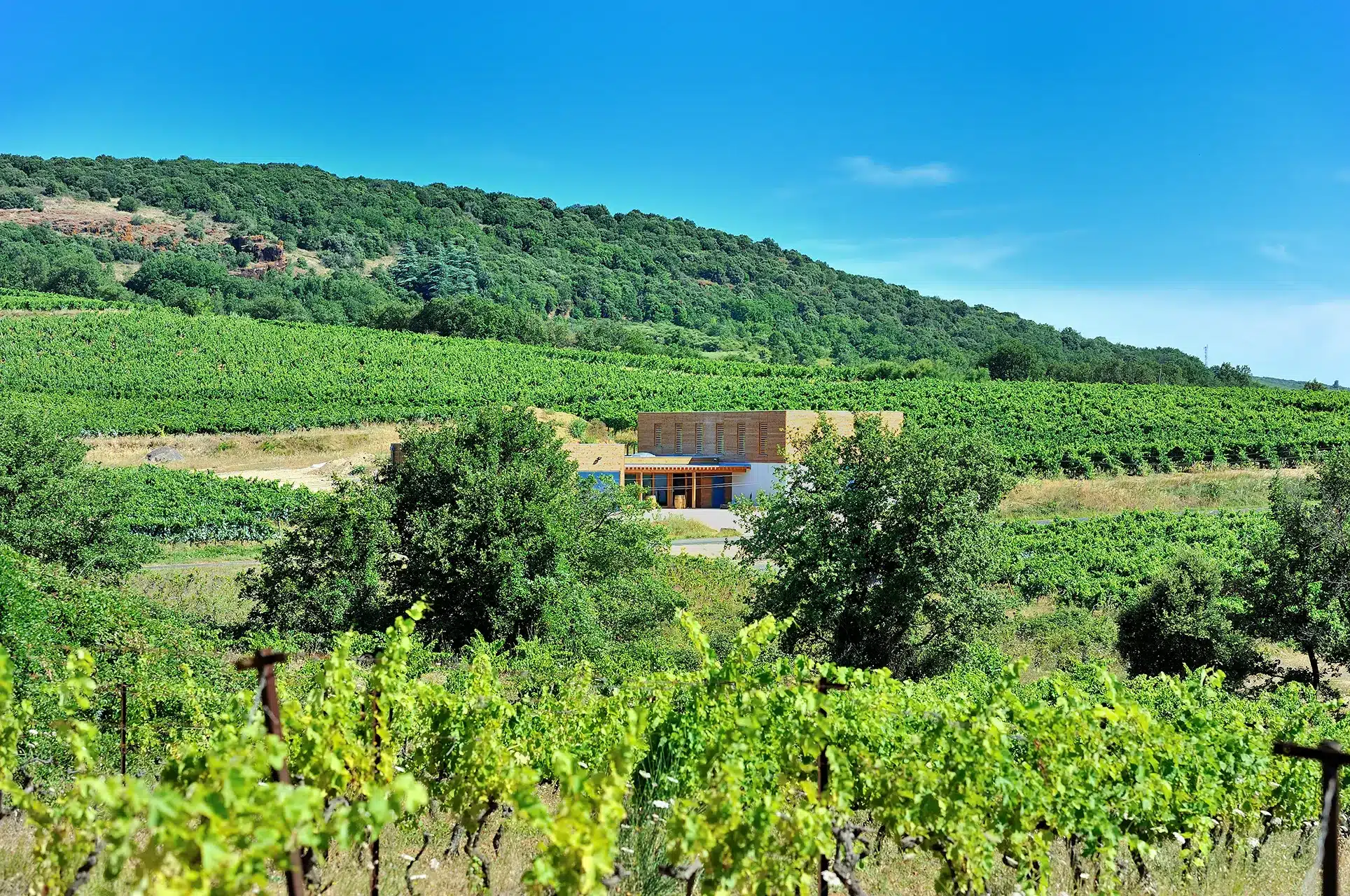 Stop Waiting For The Perfect Time