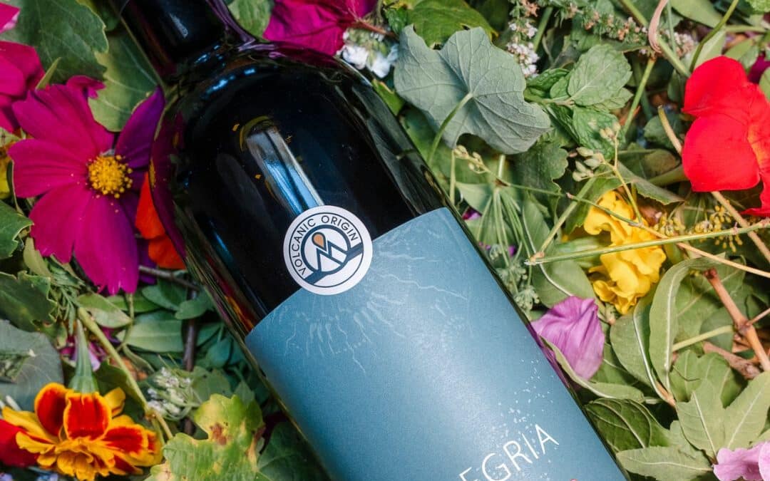 Masterclass Volcanic Origin