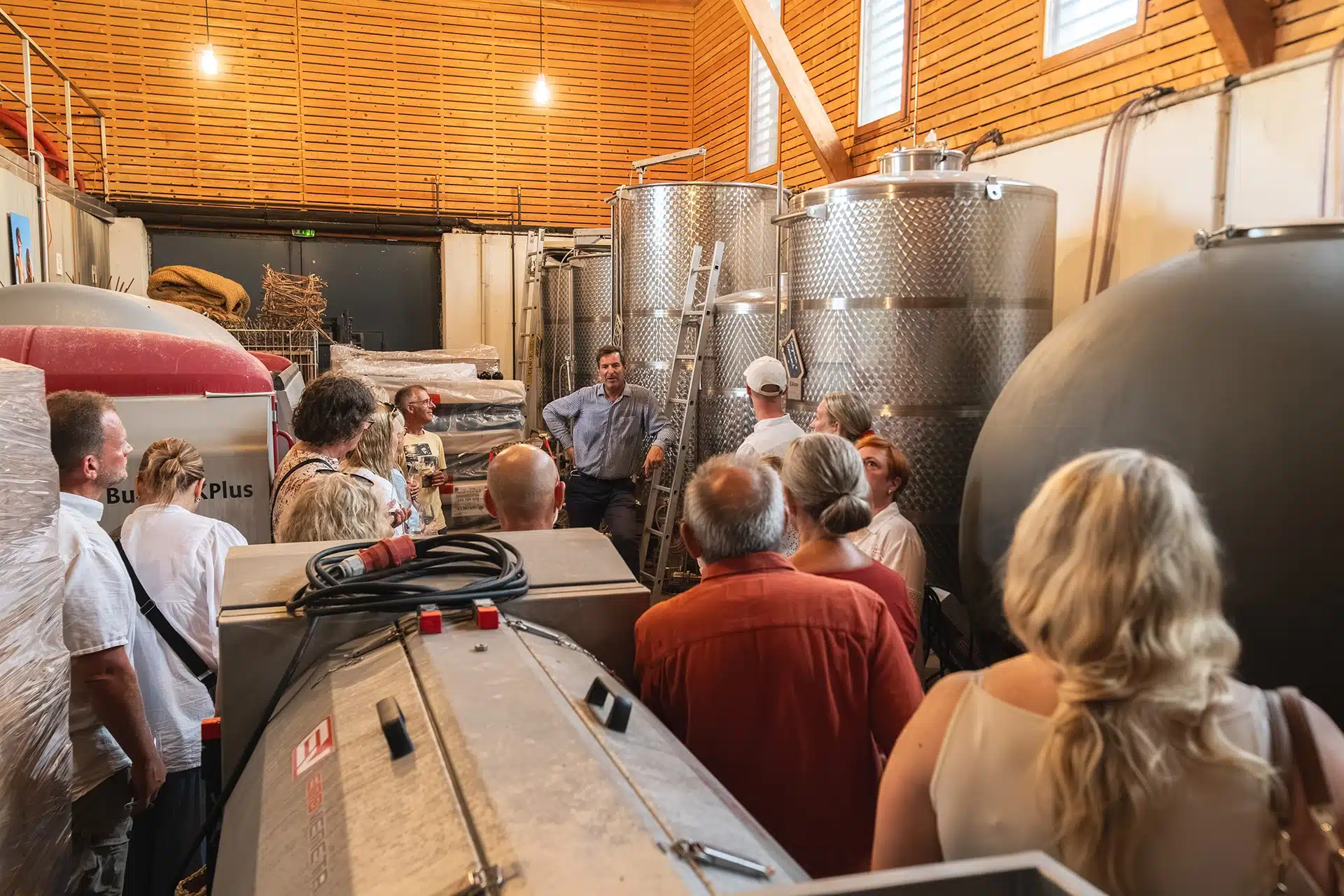 Visite de la cave de vinification du Domaine Allegria à Pézenas, avec le vigneron présentant ses cuves à un groupe de visiteurs