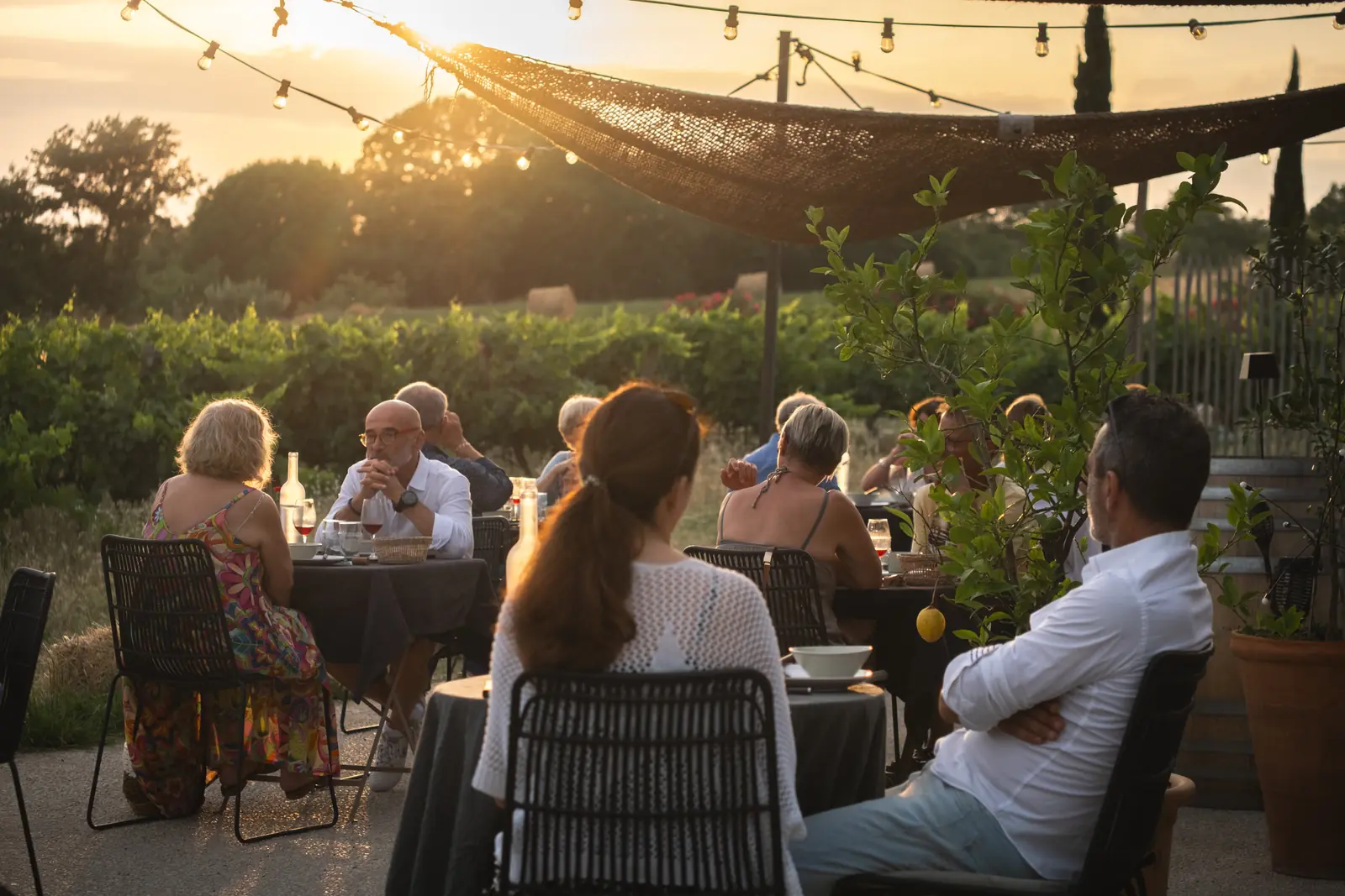 Dîner en plein air au coucher du soleil sur la terrasse du Domaine Allegria, avec vue sur les vignes et les bottes de foin