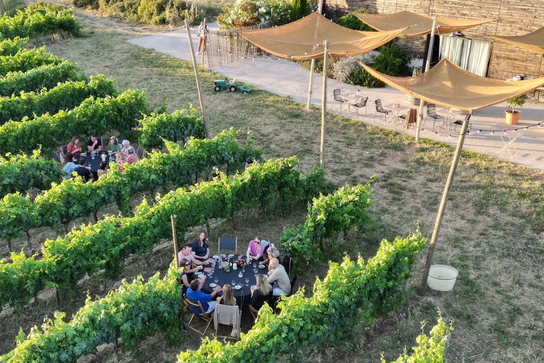 Visite de la cave de vinification du Domaine Allegria à Pézenas, avec le vigneron présentant ses cuves à un groupe de visiteurs