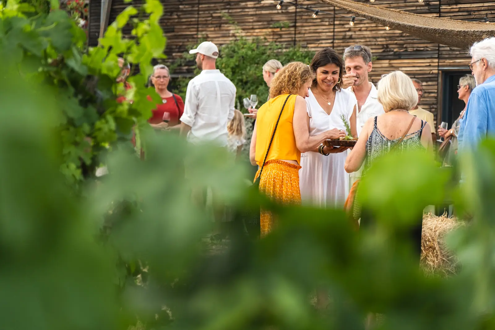 Le vigneron du Domaine Allegria présentant sa collection de vins dans l'œnothèque lors d'une visite guidée à Pézenas
