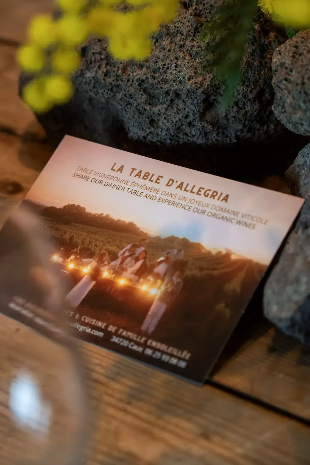Visite de la cave de vinification du Domaine Allegria à Pézenas, avec le vigneron présentant ses cuves à un groupe de visiteurs
