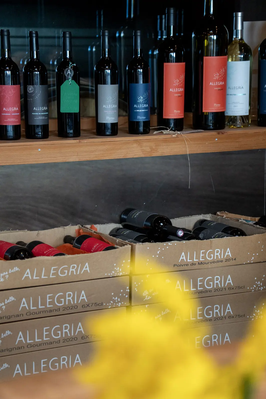 Le vigneron du Domaine Allegria présentant sa collection de vins dans l'œnothèque lors d'une visite guidée à Pézenas